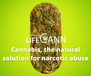 Cannabis, the natural solution for narcotic abuse