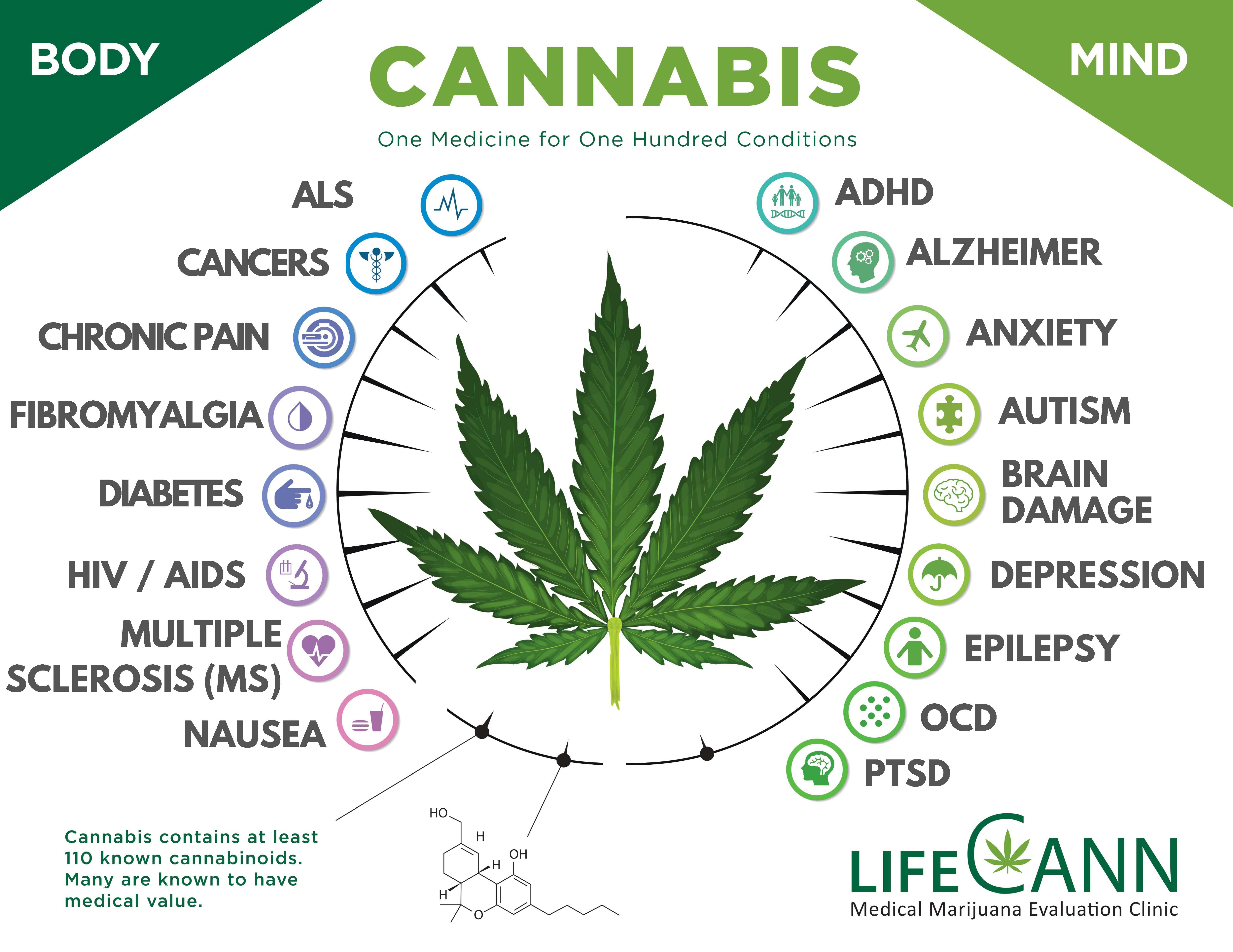 CANNABIS One Medicine for 100 Conditions