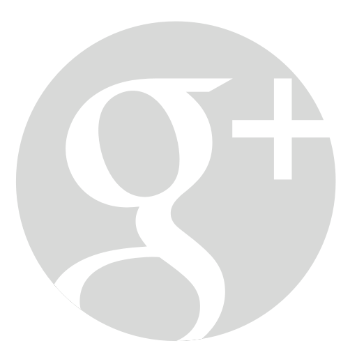 Google MyBusiness icon