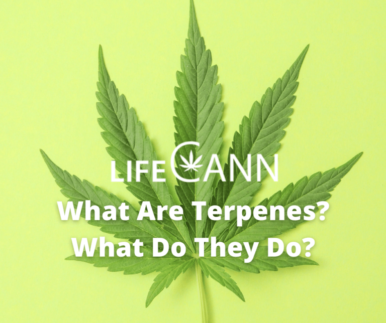 What Are Terpenes And What Do They Do? - LifeCannMD