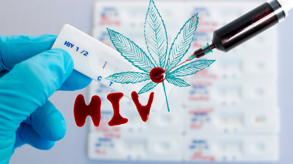 hiv aids marijuana