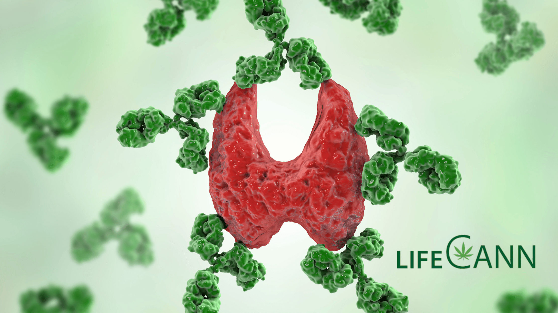 Cannabis and Autoimmune Conditions