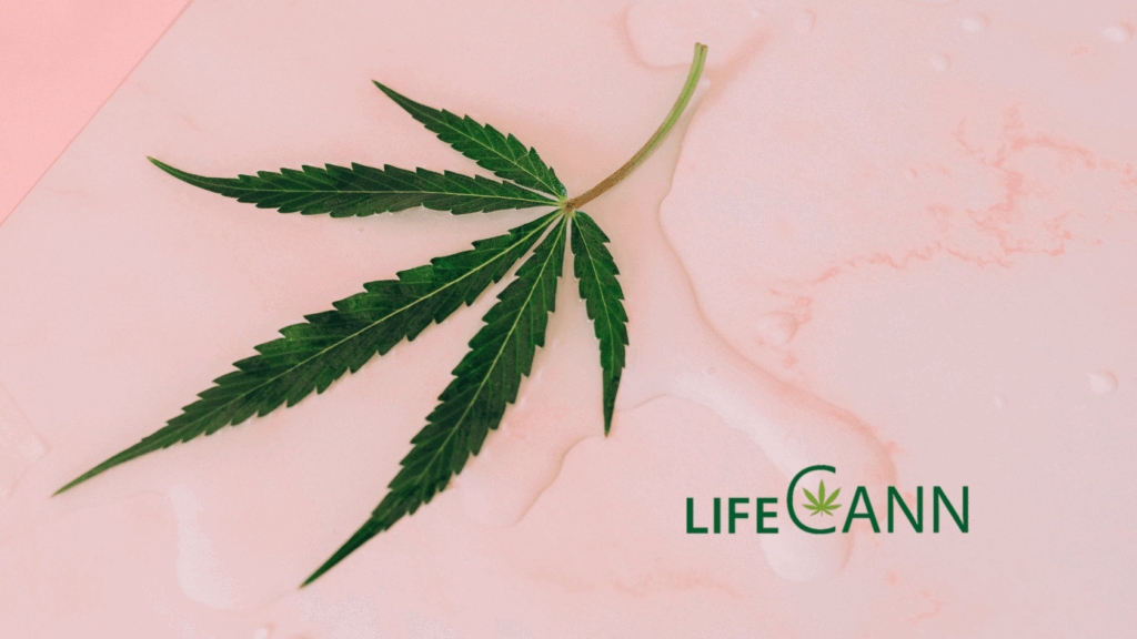 miami cbd thc seizures - Miami's Best Medical Marijuana Card Doctor miami cbd thc seizures