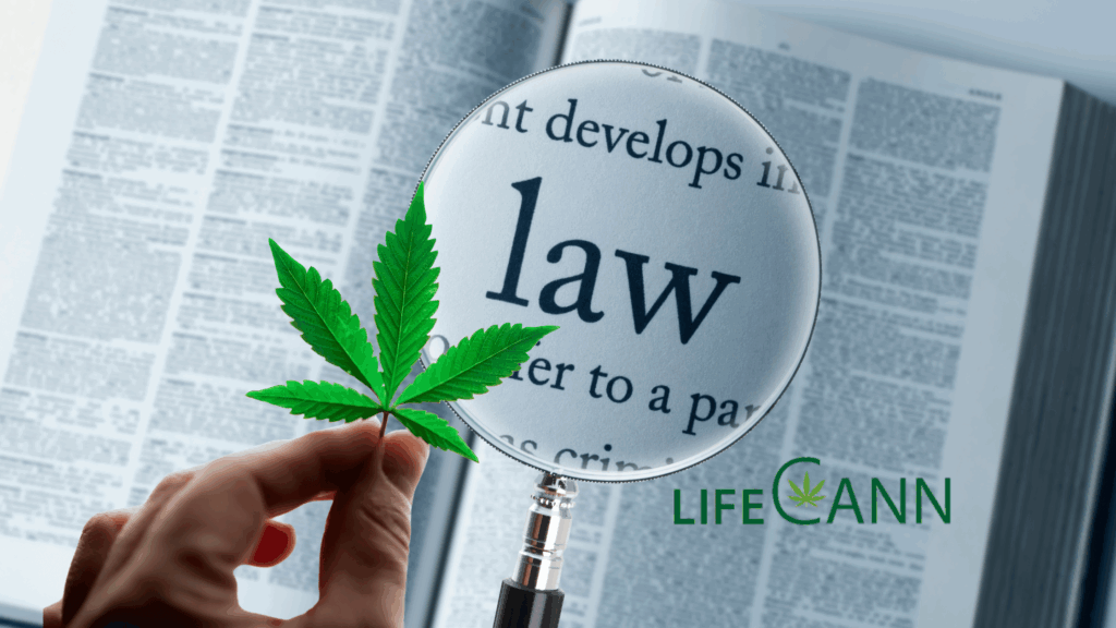 miami cannabis doctor - Miami's Best Medical Marijuana Card Doctor miami cannabis doctor