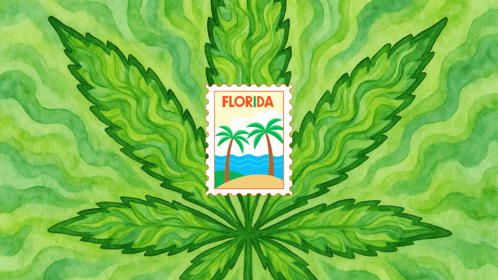 Florida marijuana strains - Miami's Best Medical Marijuana Card Doctor Florida marijuana strains