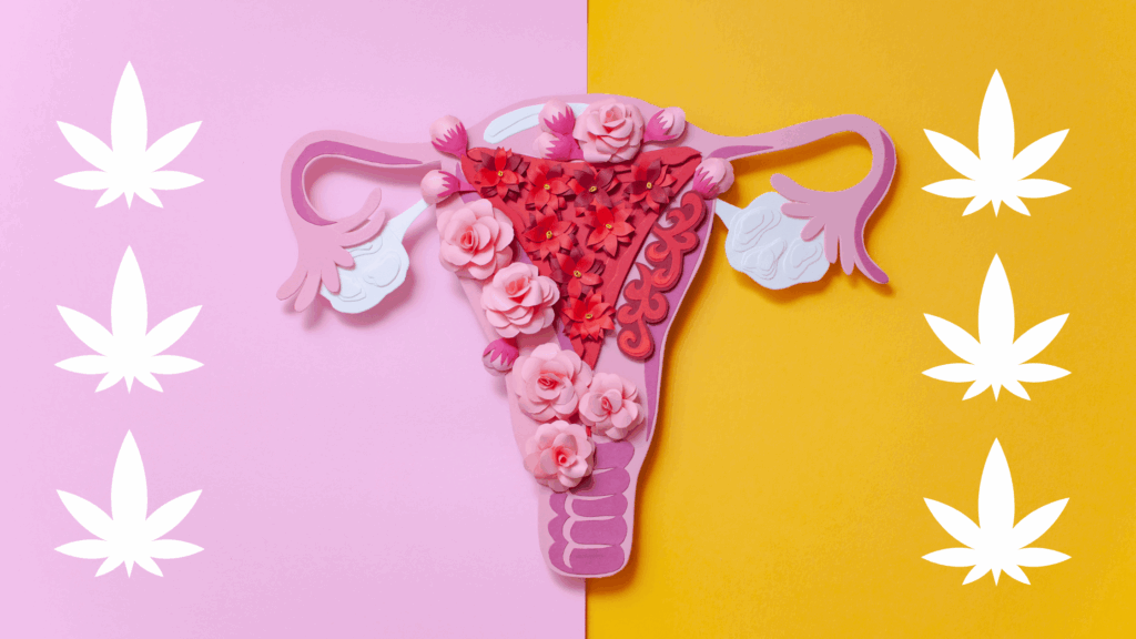 marijuana and endometriosis - Miami's Best Medical Marijuana Card Doctor marijuana and endometriosis