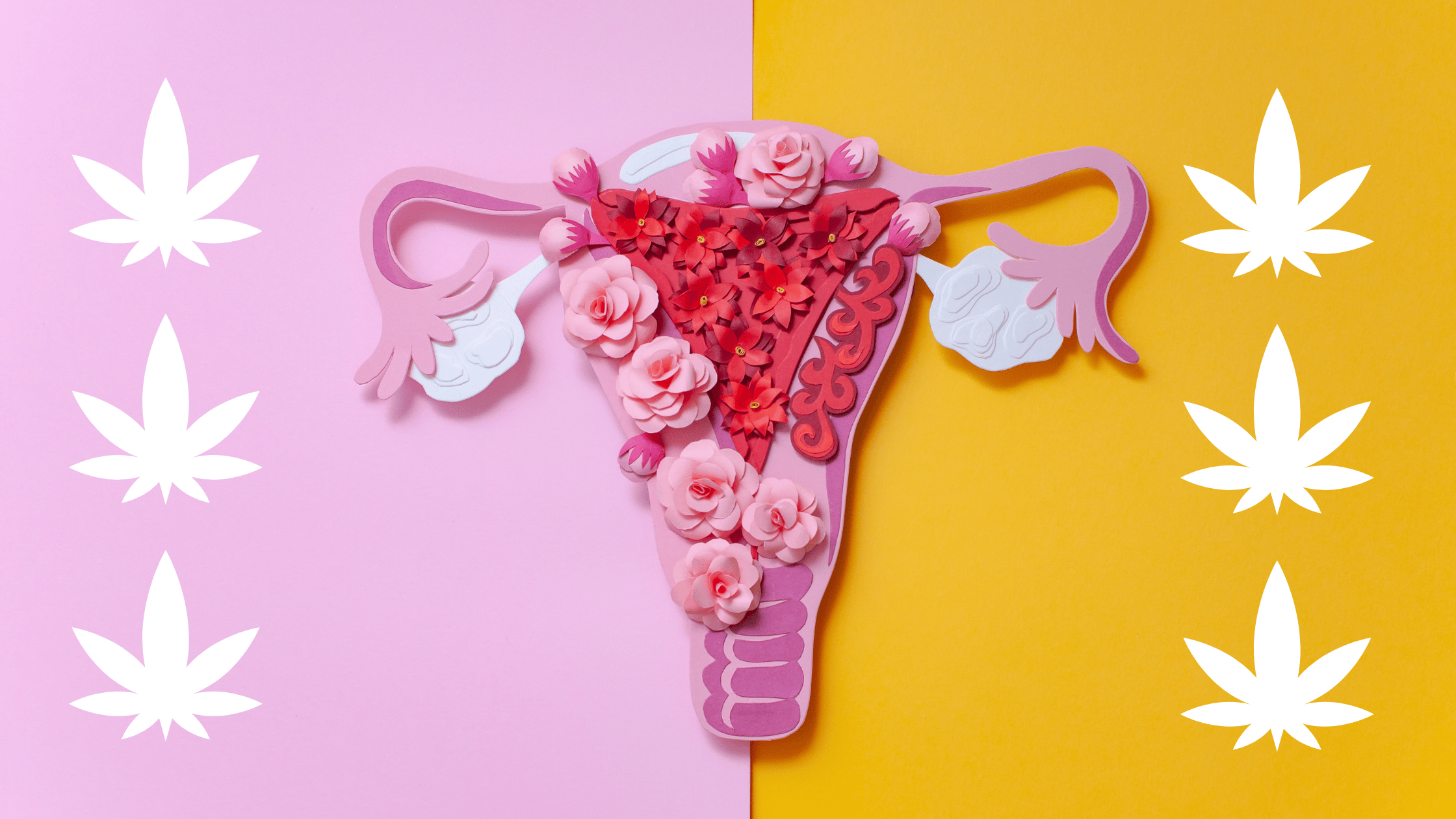 marijuana and endometriosis