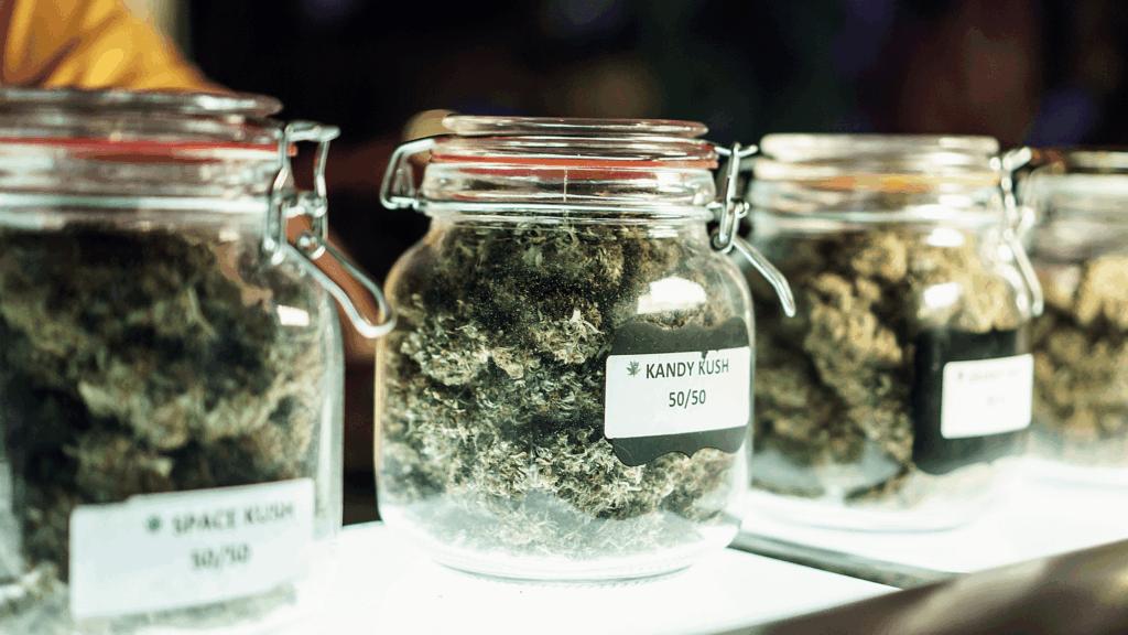 Process To Qualify for Marijuana Card in Florida - Miami's Best Medical Marijuana Card Doctor Process To Qualify for Marijuana Card in Florida