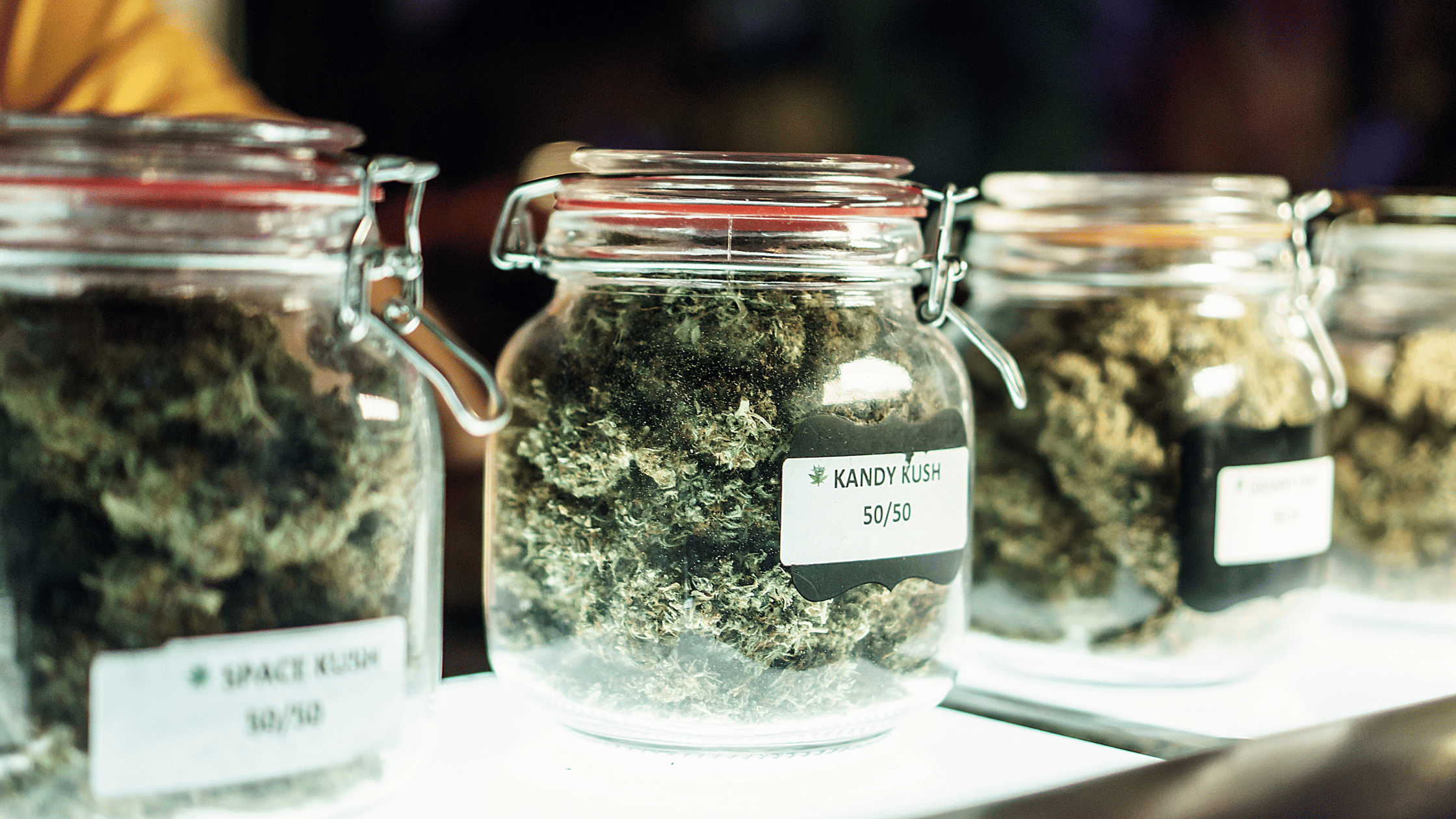 Process To Qualify for Marijuana Card in Florida