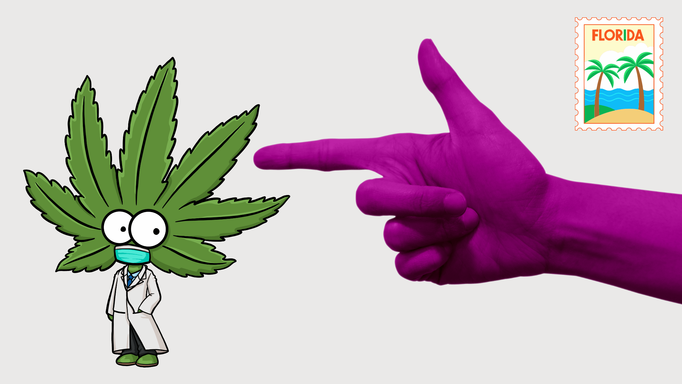 Concealed Carry Open Carry and Medical Marijuana in Florida