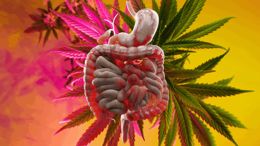 Marijuana and Crohns Disease
