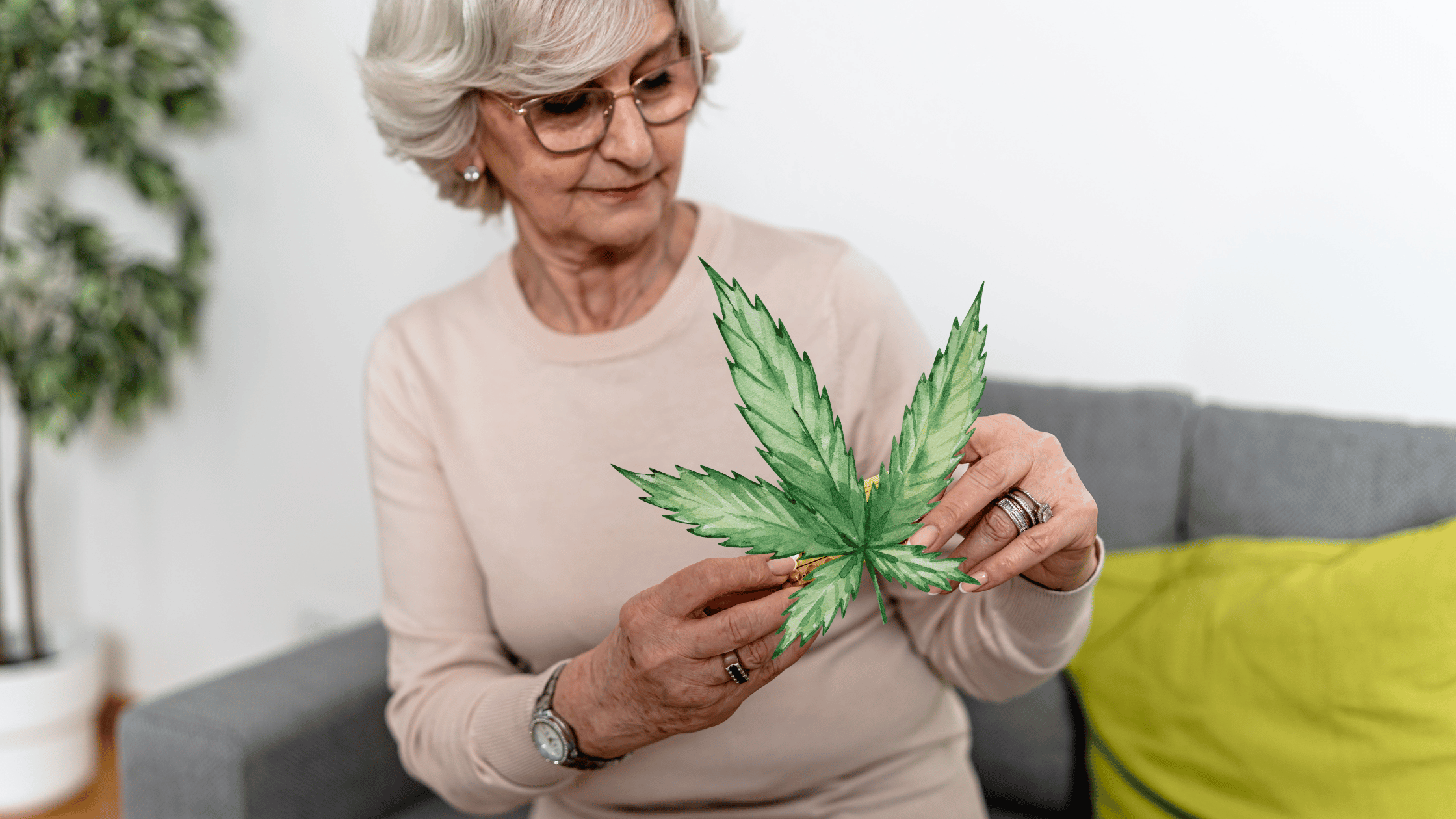 Cannabis and Menopause - Miami's Best Medical Marijuana Card Doctor - Miami's Best Medical Marijuana Card Doctor Cannabis and Menopause