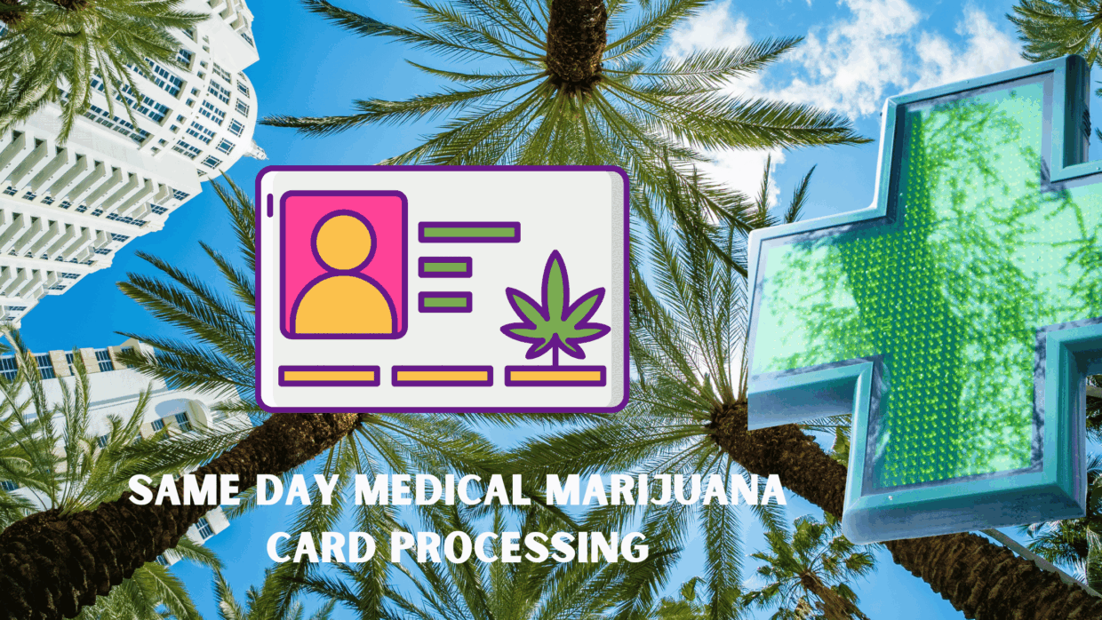 apply marijuana card miami